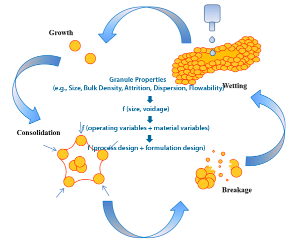 Wet Granulation Process: Mechanisms of granule formation 