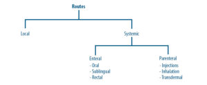 Routes Of Drug Administration: An Overview - Pharmapproach.com