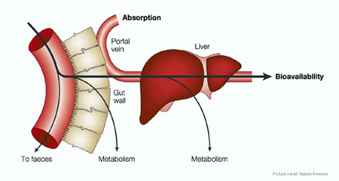 First Pass Effect Explained Pharmapproach